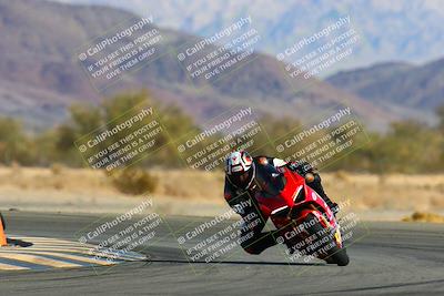 media/Jan-09-2022-SoCal Trackdays (Sun) [[2b1fec8404]]/Turn 14 (10am)/